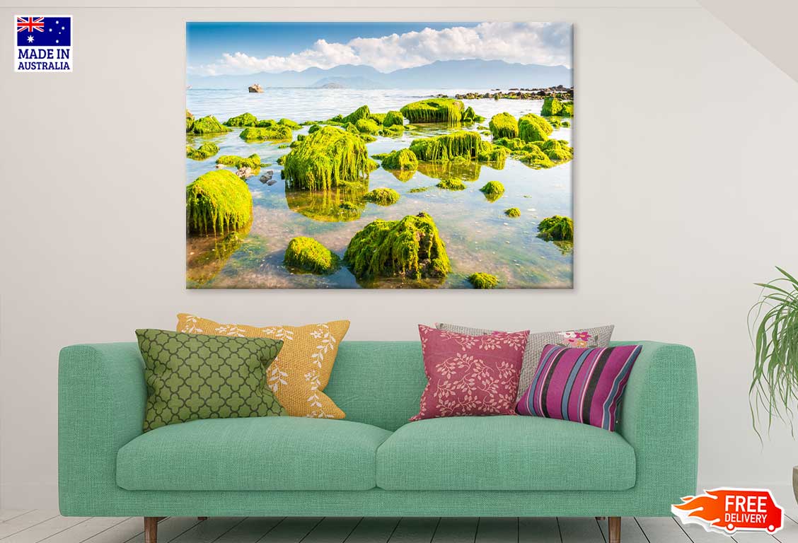 Green Beach Moss View Photograph Vietnam Print 100% Australian Made