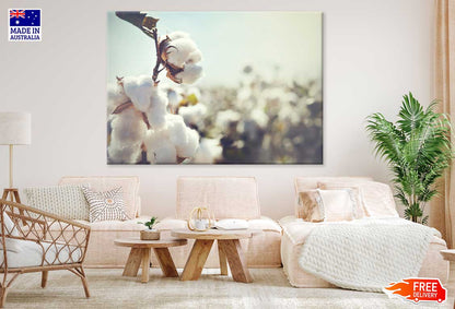 Combed Cotton Flower Photograph Print 100% Australian Made