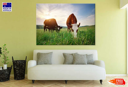 Cows on Grass Field Photograph Print 100% Australian Made