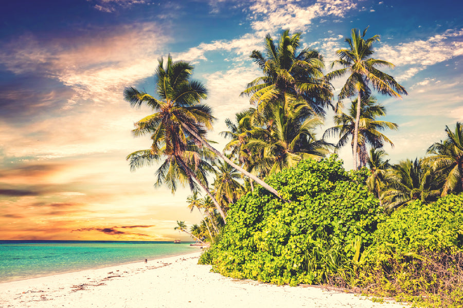 Beach with Palm Trees Sunset Sky Photograph Home Decor Premium Quality Poster Print Choose Your Sizes