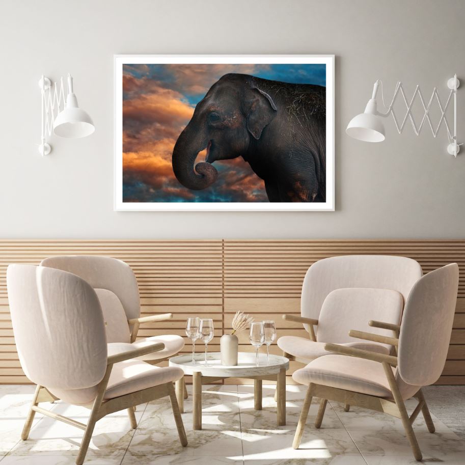 Elephant Portrait Photograph Home Decor Premium Quality Poster Print Choose Your Sizes