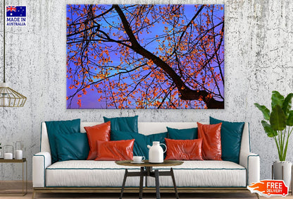 Branch Leaf Foliage View From Below Print 100% Australian Made