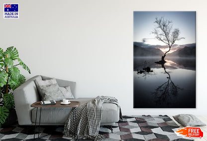 Leafless Tree on Lake & Mountains Photograph Print 100% Australian Made