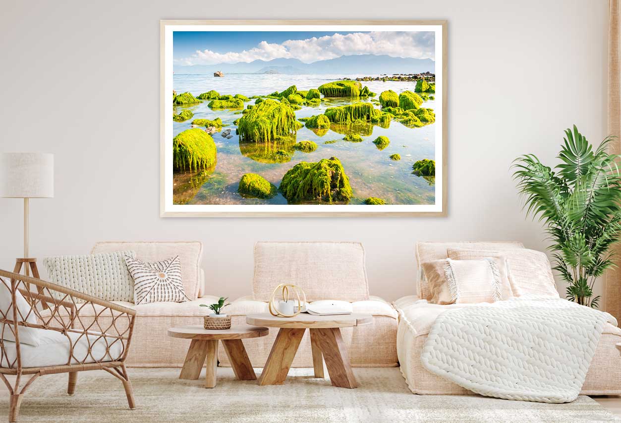 Green Beach Moss View Photograph Vietnam Home Decor Premium Quality Poster Print Choose Your Sizes