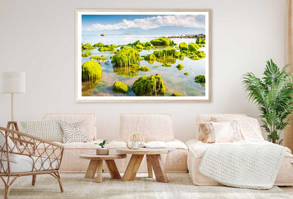 Green Beach Moss View Photograph Vietnam Home Decor Premium Quality Poster Print Choose Your Sizes