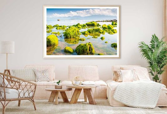 Green Beach Moss View Photograph Vietnam Home Decor Premium Quality Poster Print Choose Your Sizes