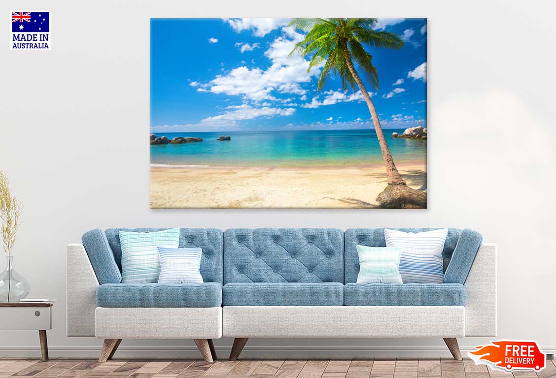 Coconut Palm on Sai Nuan Beach Photograph Print 100% Australian Made