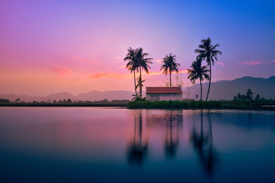 Palm Trees Near Lake Sunset Photograph Print 100% Australian Made