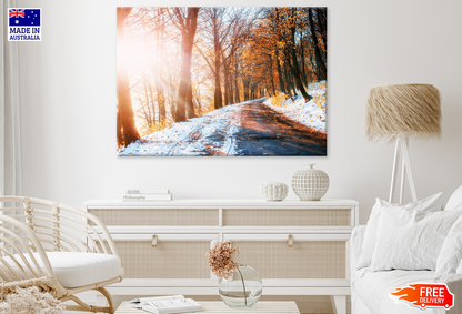 Snow Coverd Trees & Sunlight View Print 100% Australian Made