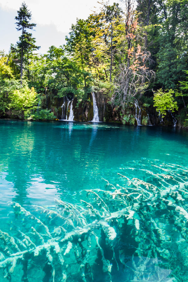 Lake Forest Plitvice Park Photograph Croatia Print 100% Australian Made