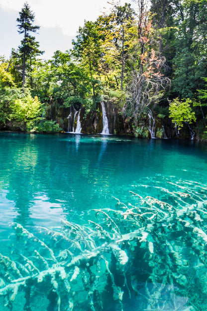 Lake Forest Plitvice Park Photograph Croatia Print 100% Australian Made
