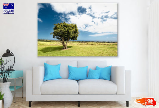 Tree Cloud Sky & Field Photograph Print 100% Australian Made