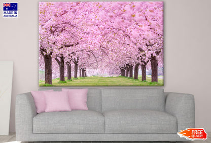 Blossom Trees Rows in Park Print 100% Australian Made