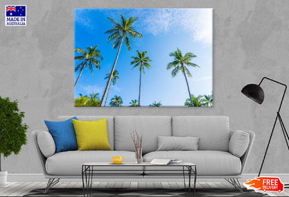 Tropical Palm Trees & Blue Sky Photograph Print 100% Australian Made