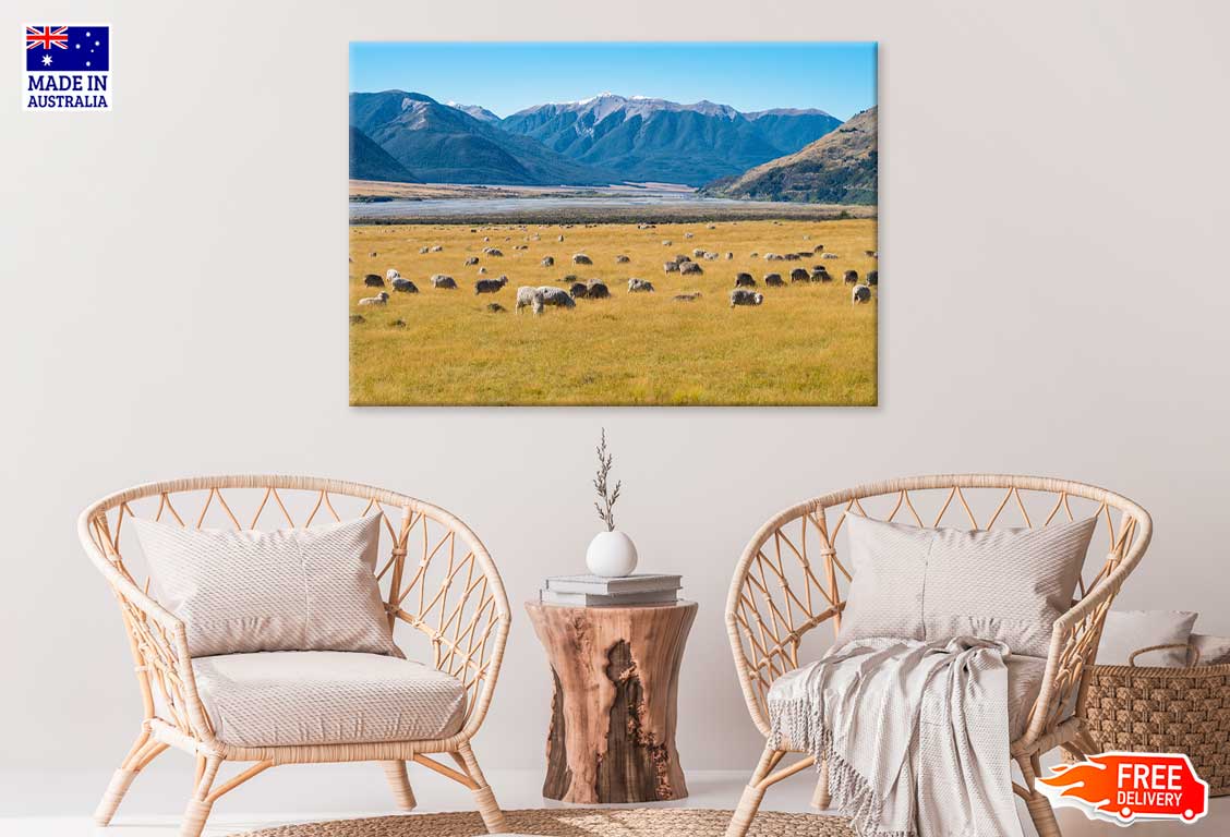 Sheep on Grass Field & Mountains Scenery Photograph Print 100% Australian Made