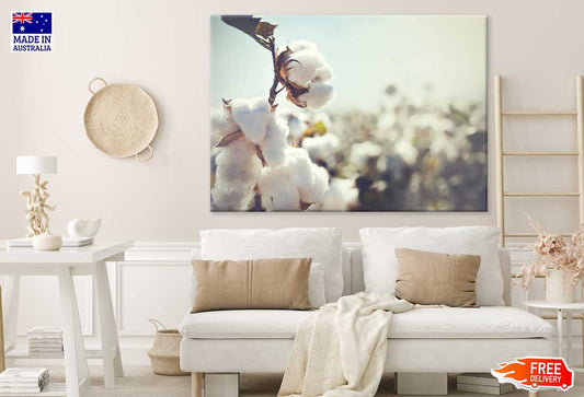 Combed Cotton Flower Photograph Print 100% Australian Made