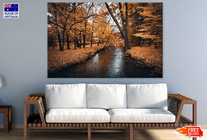 River in Orange Leaves Tree Forest Photograph Print 100% Australian Made