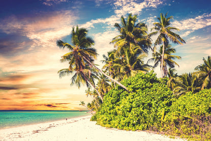 Beach with Palm Trees Sunset Sky Photograph Print 100% Australian Made