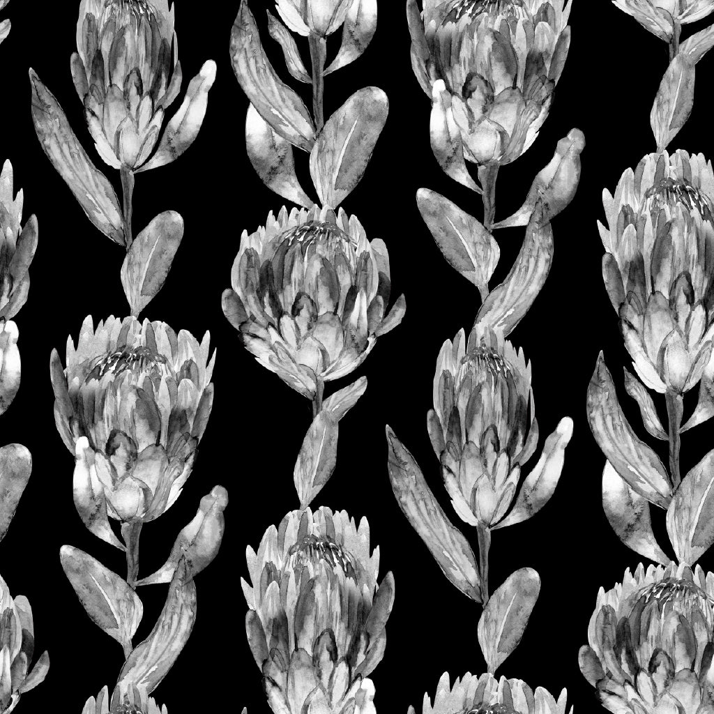 Square Canvas Protea Flowers B&W Design Art High Quality Print 100% Australian Made