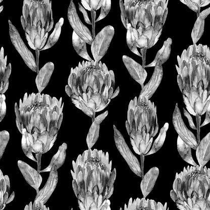 Square Canvas Protea Flowers B&W Design Art High Quality Print 100% Australian Made