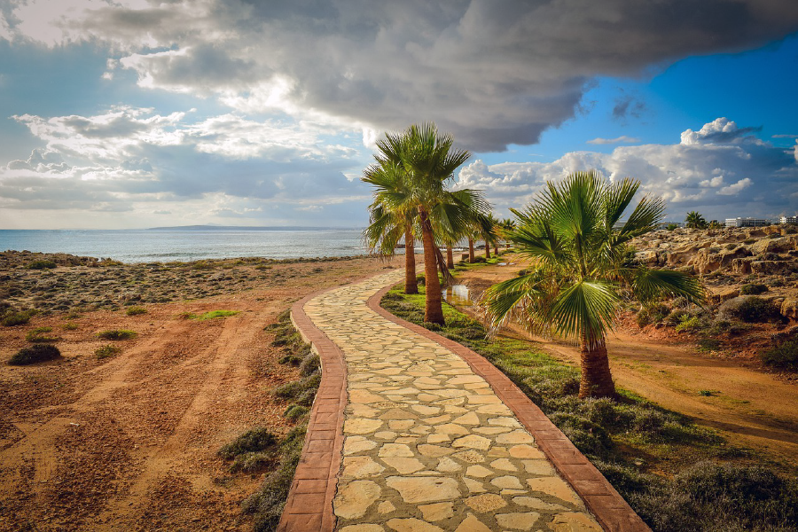 Road Near Sea with Palm Trees Photograph Print 100% Australian Made