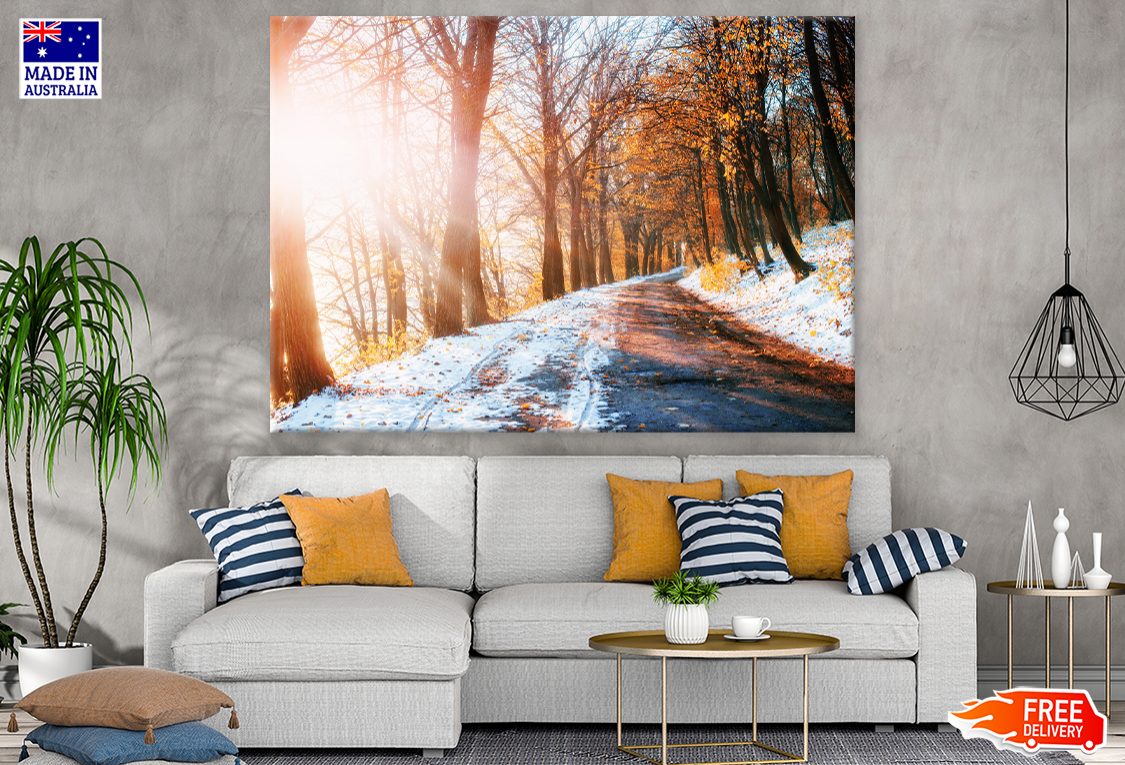 Snow Coverd Trees & Sunlight View Print 100% Australian Made