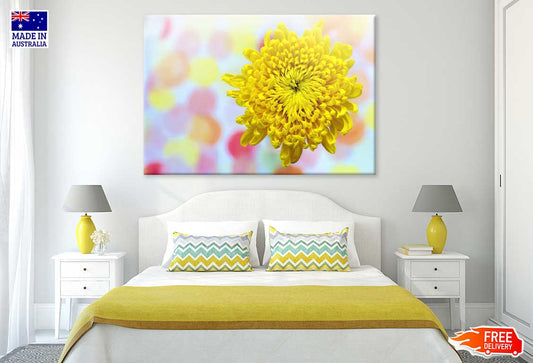 Yellow Chrysanthemum Closeup View Photograph Print 100% Australian Made