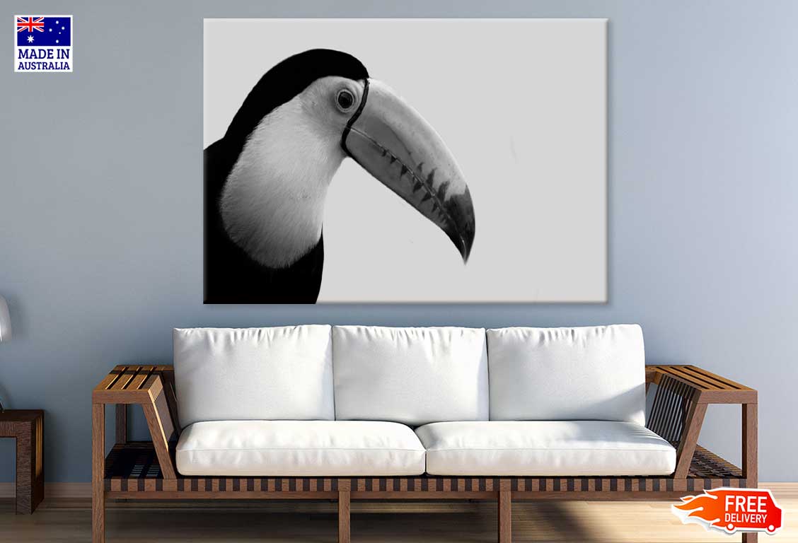 Toco Toucan Bird B&W Photograph Print 100% Australian Made