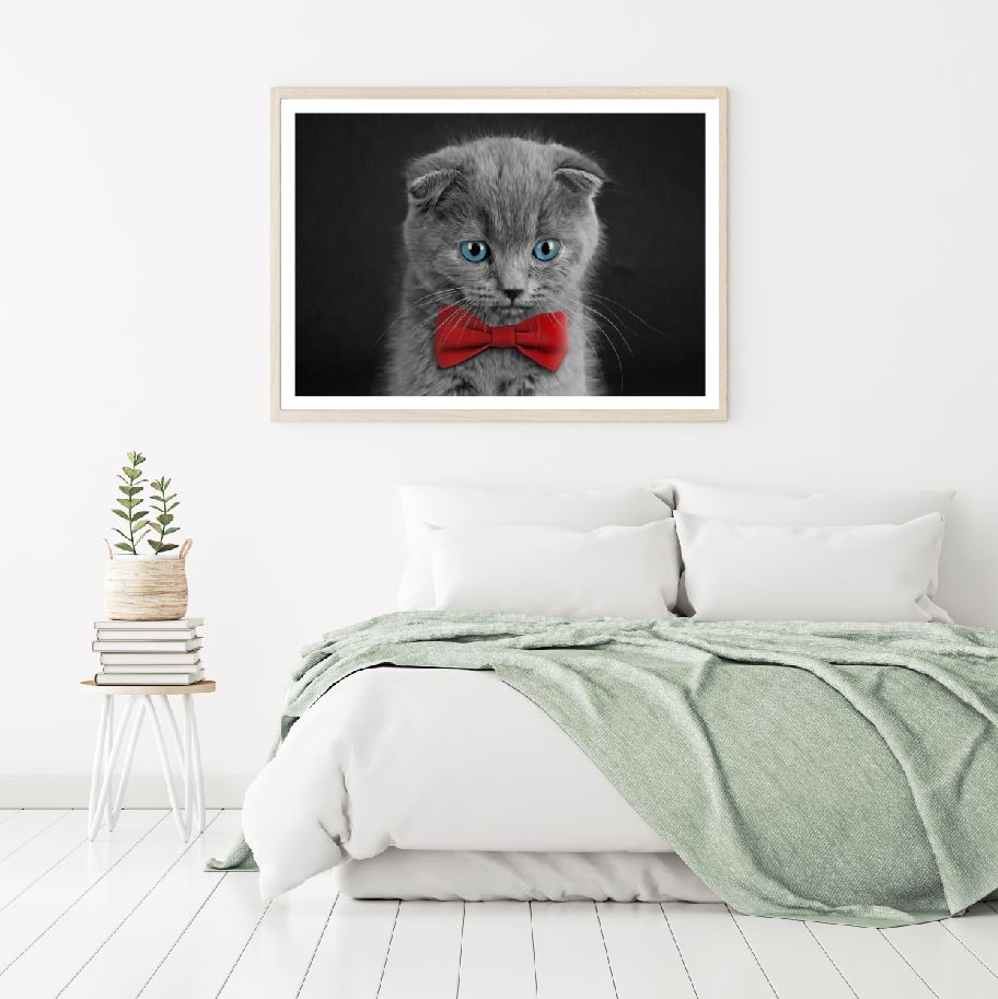 Grey Cat with Portrait Photograph Home Decor Premium Quality Poster Print Choose Your Sizes