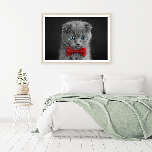 Grey Cat with Portrait Photograph Home Decor Premium Quality Poster Print Choose Your Sizes