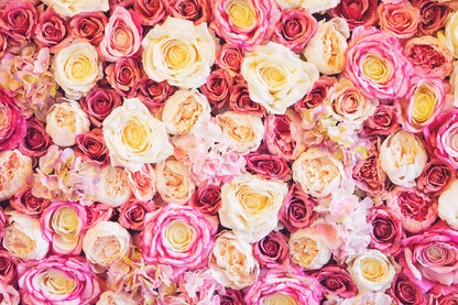 White Pink Roses Closeup View Photograph Print 100% Australian Made