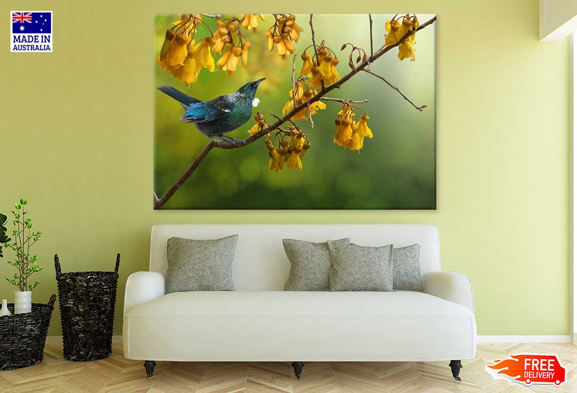 Tui Bird on Yellow Flower Tree View Photograph Print 100% Australian Made