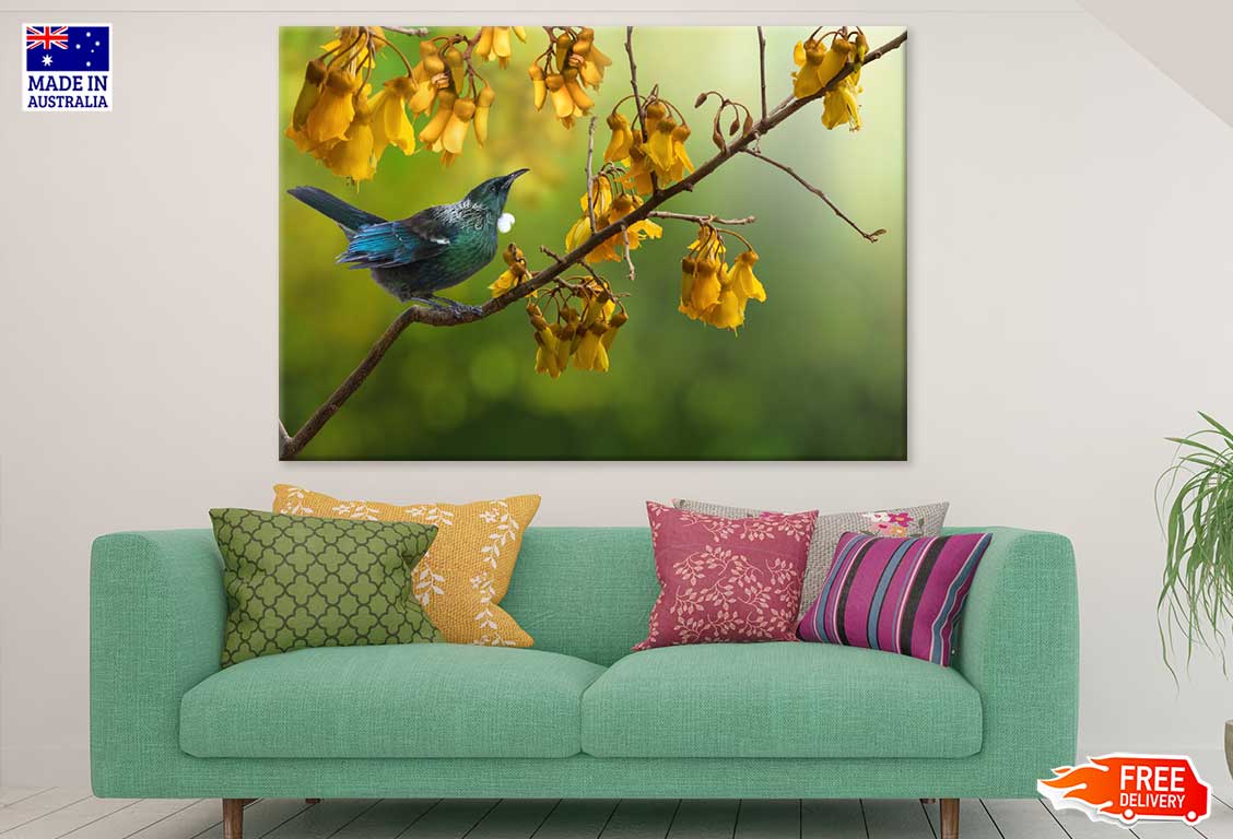 Tui Bird on Yellow Flower Tree View Photograph Print 100% Australian Made