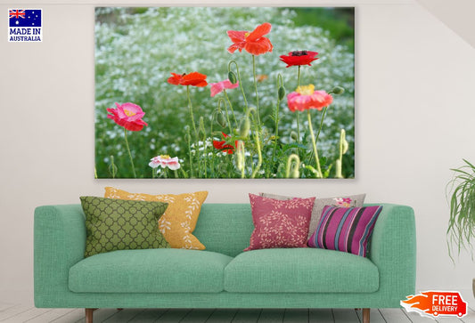 Red & Pink Poppies Plants Photograph Print 100% Australian Made