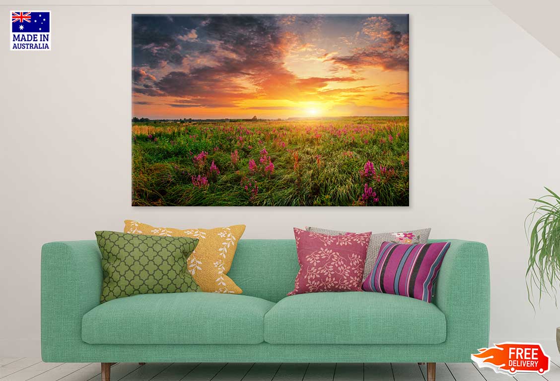 Pink Flower Field Sunrise View Photograph Print 100% Australian Made