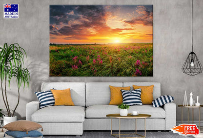 Pink Flower Field Sunrise View Photograph Print 100% Australian Made