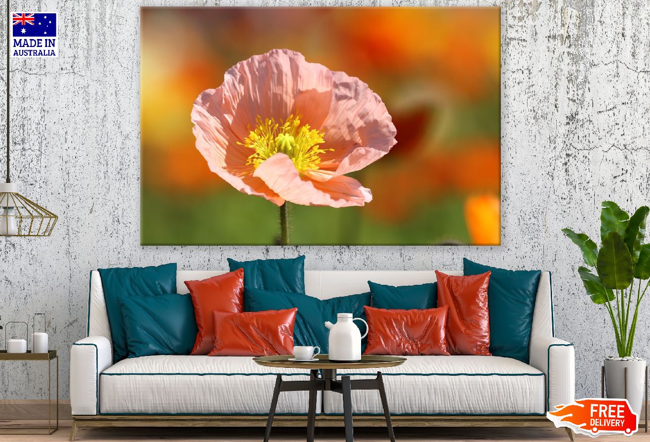Pink Poppy Flower Closeup Photograph Print 100% Australian Made