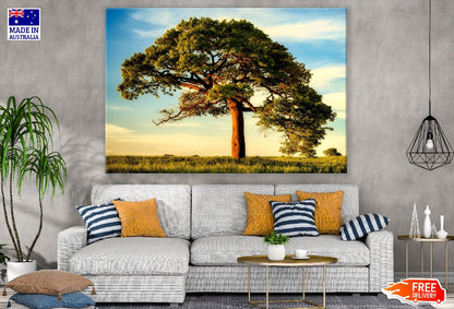 Old Tree Under Blue Sky Photograph Print 100% Australian Made