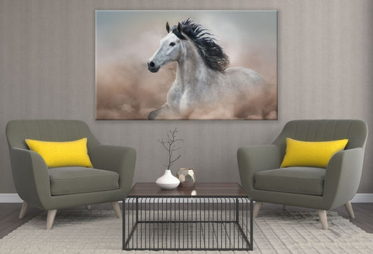 White Horse Portrait Photograph Print 100% Australian Made