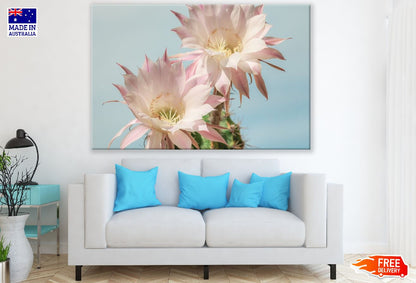 Two White Cactus Flowers Closeup Photograph Print 100% Australian Made