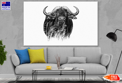 Buffalo B&W Photograph Print 100% Australian Made