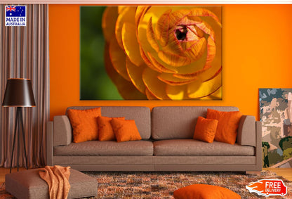 Orange Ranunculus Flower Closeup Photograph Print 100% Australian Made