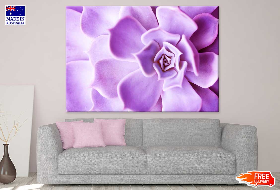 Purple Flower Petals Closeup View Photograph Print 100% Australian Made