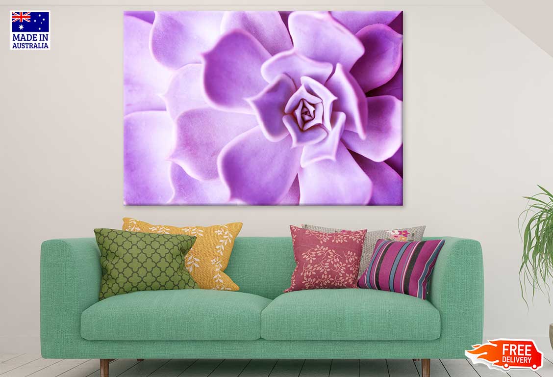 Purple Flower Petals Closeup View Photograph Print 100% Australian Made
