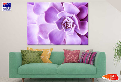 Purple Flower Petals Closeup View Photograph Print 100% Australian Made