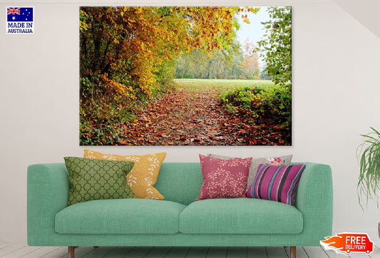 Autumn Forest Photograph Print 100% Australian Made