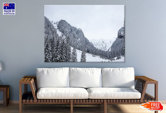 Pine Snow Covered Forest View Photograph Print 100% Australian Made