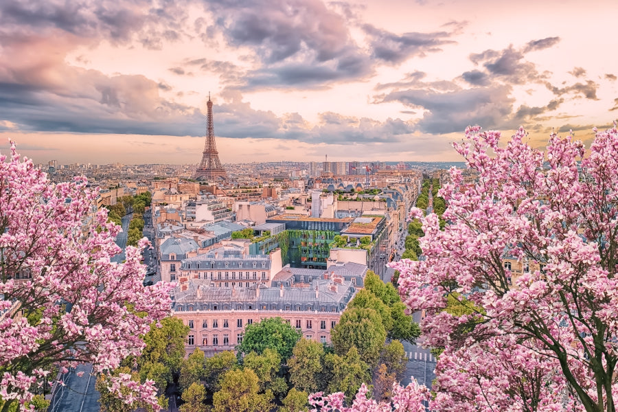 Paris City in Springtime Scenery Photograph Home Decor Premium Quality Poster Print Choose Your Sizes