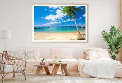 Coconut Palm on Sai Nuan Beach Photograph Home Decor Premium Quality Poster Print Choose Your Sizes