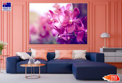 Purple Orchid Flower Closeup View Painting Print 100% Australian Made